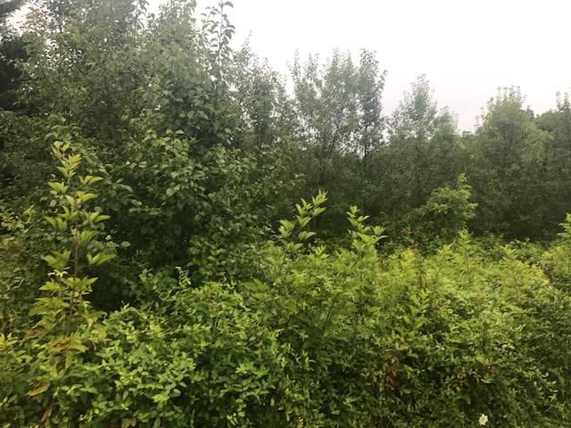 11 Stowers Dr, Corryton, TN 37721