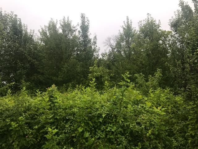 11 Stowers Dr, Corryton, TN 37721