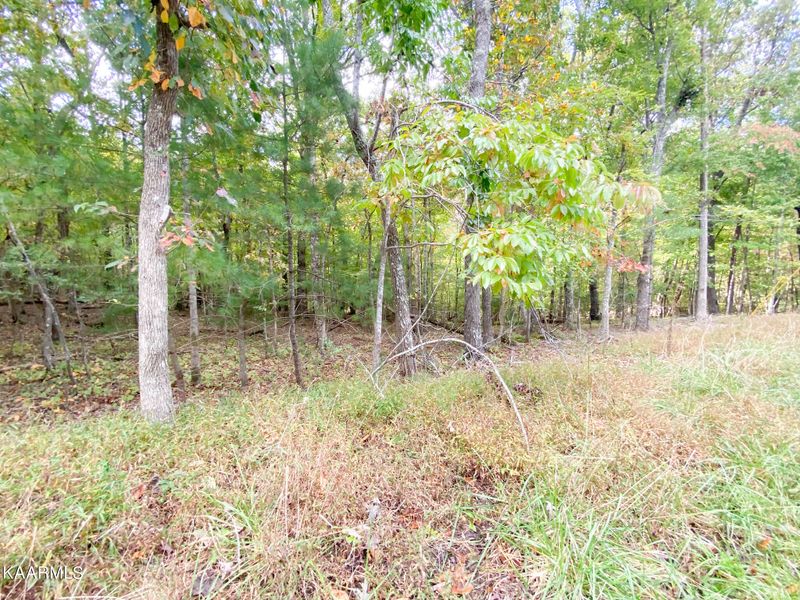 11 Wexford Ln, Fairfield Glade, TN 38558