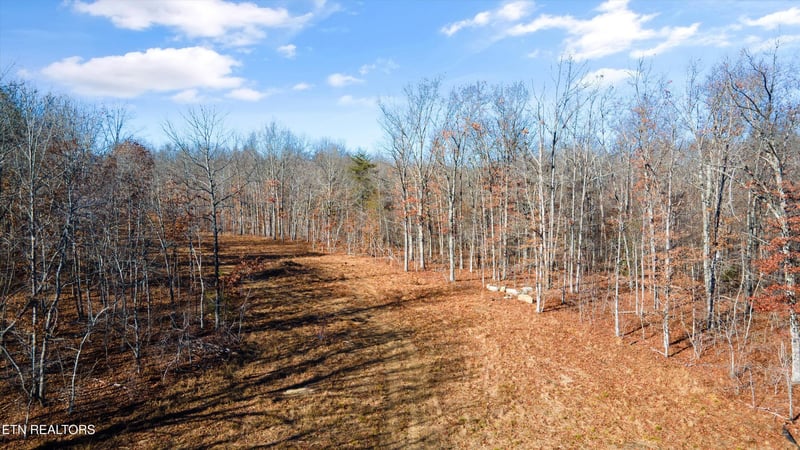 11.49 ac Off Stanley Hood Rd, Crossville, TN 38571
