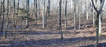 11.49 ac Off Stanley Hood Rd, Crossville, TN 38571