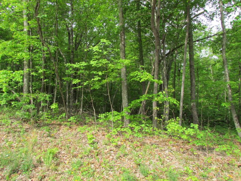 110 - 112 Folkstone Rd, Fairfield Glade, TN 38558
