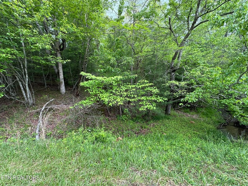 110 - 112 Forest Hill Dr, Crossville, TN 38558