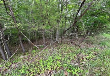 110 - 112 Forest Hill Dr, Crossville, TN 38558
