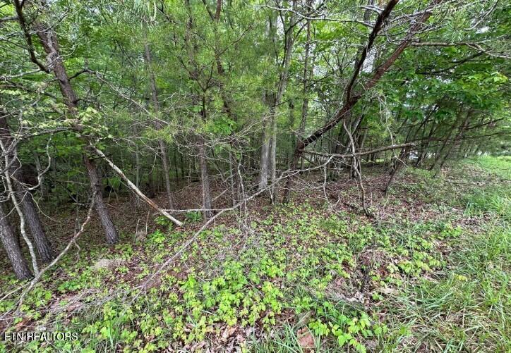110 - 112 Forest Hill Dr, Crossville, TN 38558