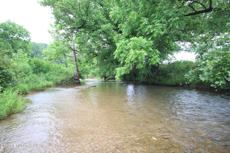 110 Acres Bivens Rd, Tellico Plains, TN 37385
