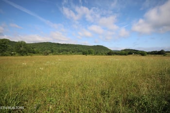 110 Acres Bivens Rd, Tellico Plains, TN 37385