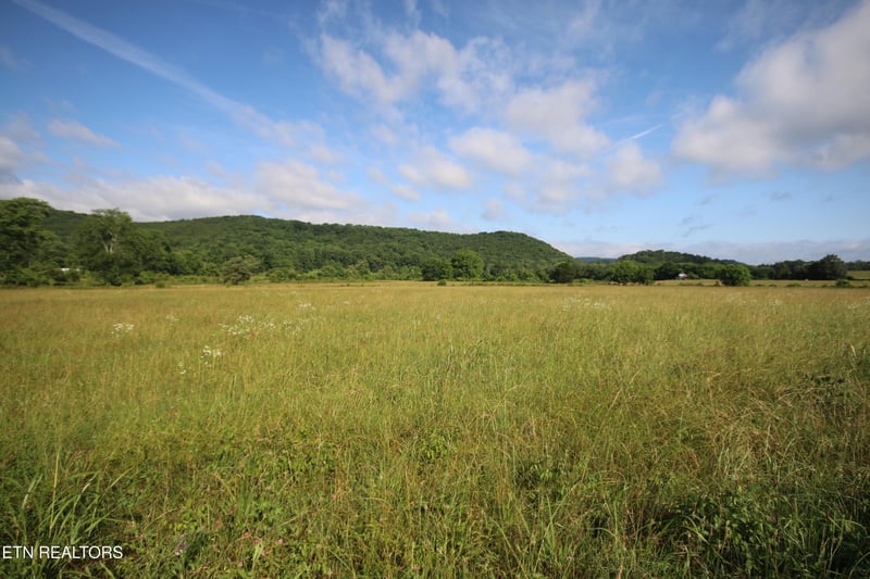 110 Acres Bivens Rd, Tellico Plains, TN 37385