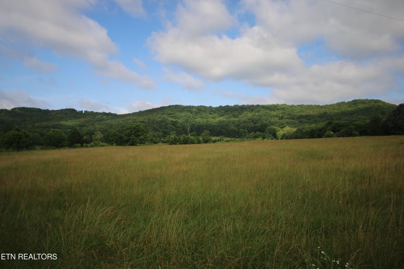 110 Acres Bivens Rd, Tellico Plains, TN 37385