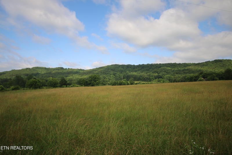 110 Acres Bivens Rd, Tellico Plains, TN 37385