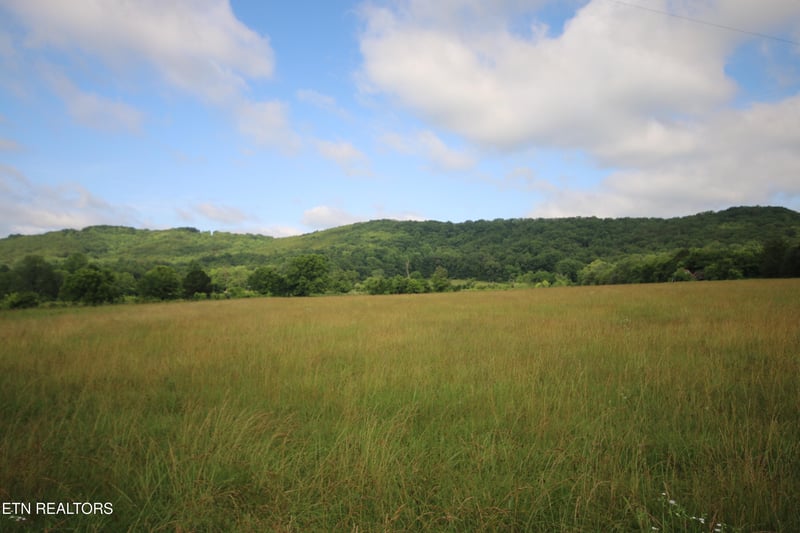 110 Acres Bivens Rd, Tellico Plains, TN 37385