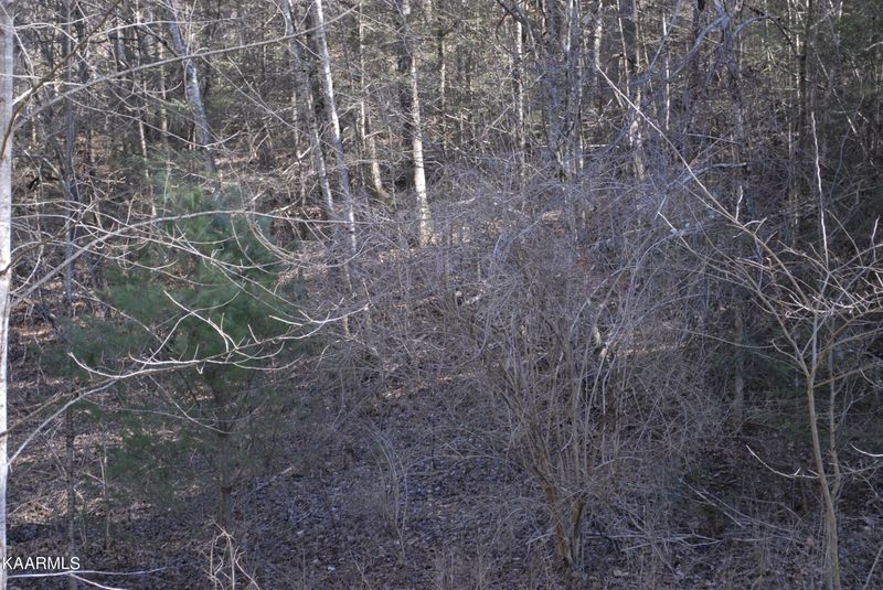 110 Bluestone Way, Townsend, TN 37882
