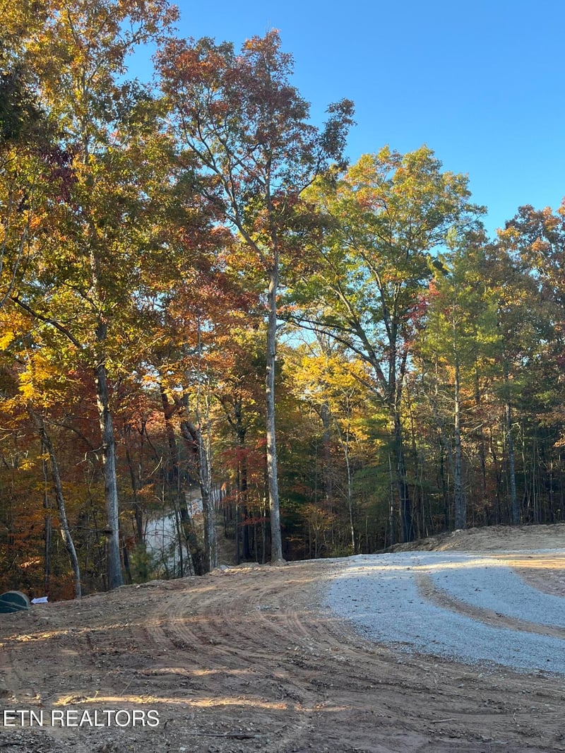 110 Cherokee Pa, Tellico Plains, TN 37385