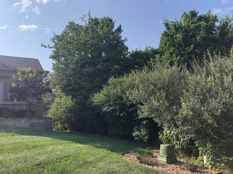 110 Depew Dr, Loudon, TN 37774