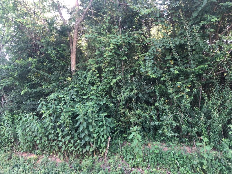 110 Depew Dr, Loudon, TN 37774