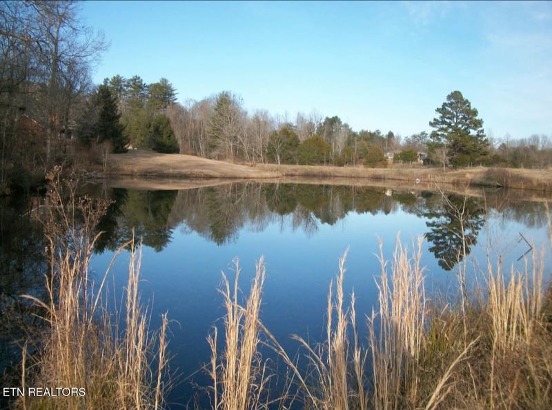 110 Peninsula Rd, Harriman, TN 37748