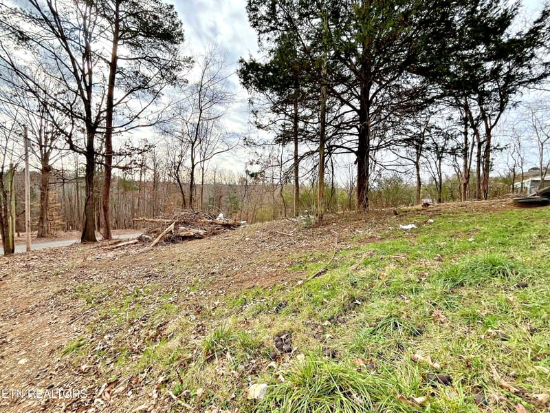 110 Pinecrest Dr, Loudon, TN 37774