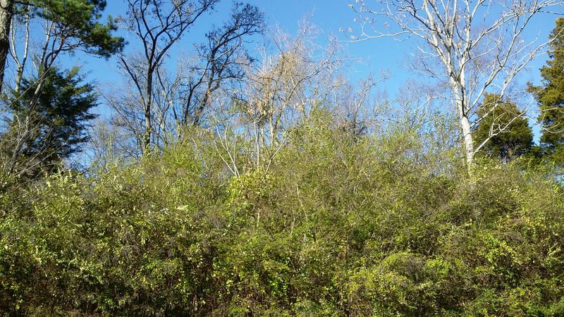 110 Tahlequah Ln, Loudon, TN 37774