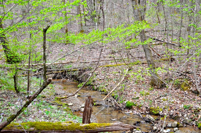 110 Trillium Trail Rd, Townsend, TN 37882