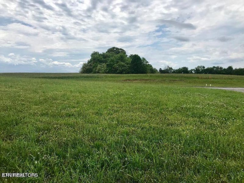 110 Whippoorwill Dr, Vonore, TN 37885