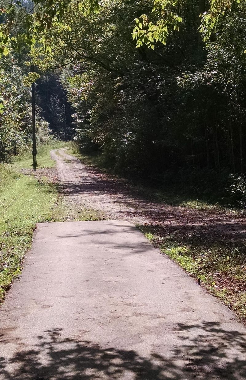 1101 Deer Trail Way, Seymour, TN 37865
