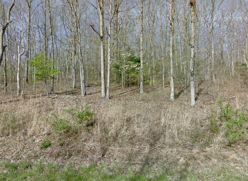 1102 Redwing Dr, Crossville, TN 38572