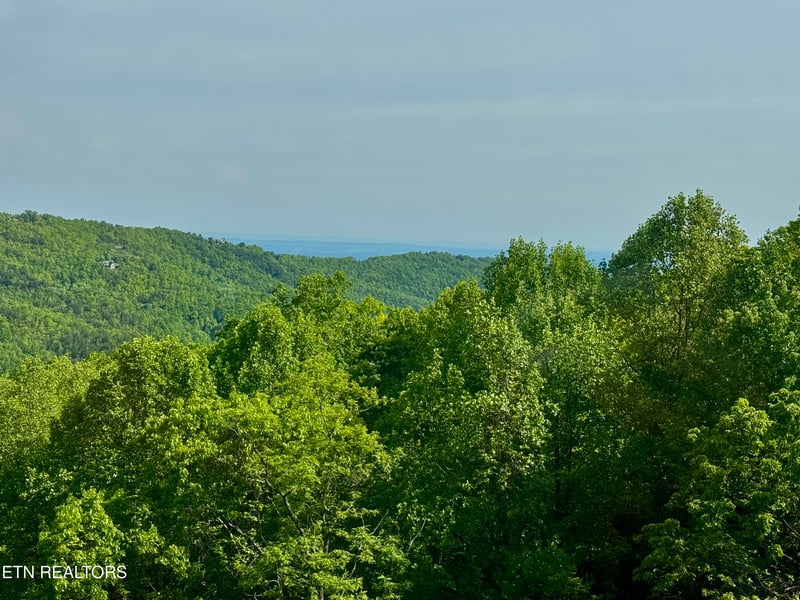 1102 Ski View Dr #306, Gatlinburg, TN 37738