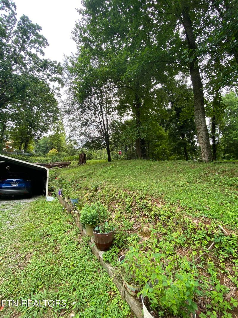 1103 Army St, Knoxville, TN 37920