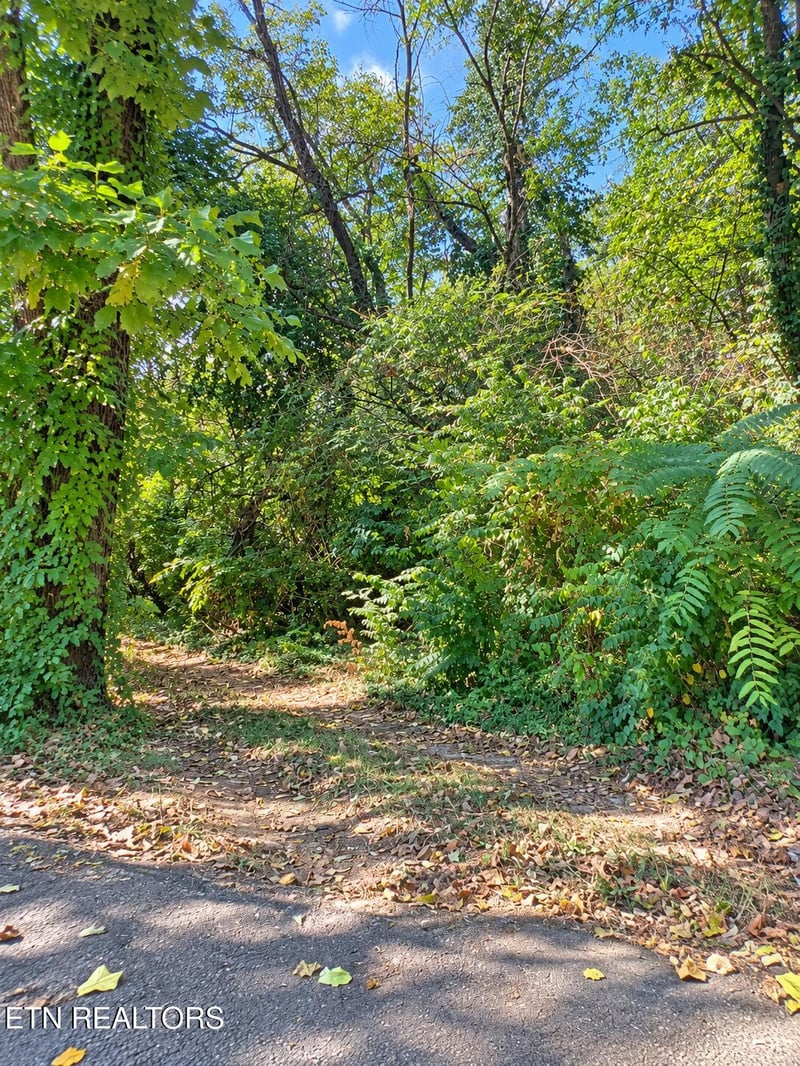 1105 Maryland Ave, Knoxville, TN 37921