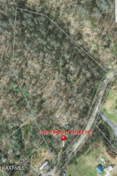 1109 W Brushy Valley Dr, Powell, TN 37849
