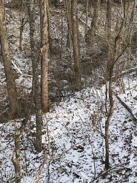 111 213.00 Concord Rd, Robbins, TN 37852