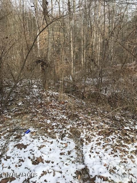 111 213.00 Concord Rd, Robbins, TN 37852