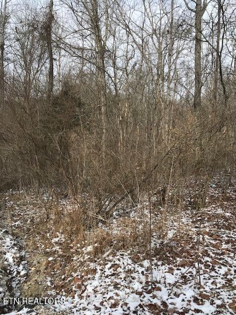 111 213.00 Concord Rd, Robbins, TN 37852