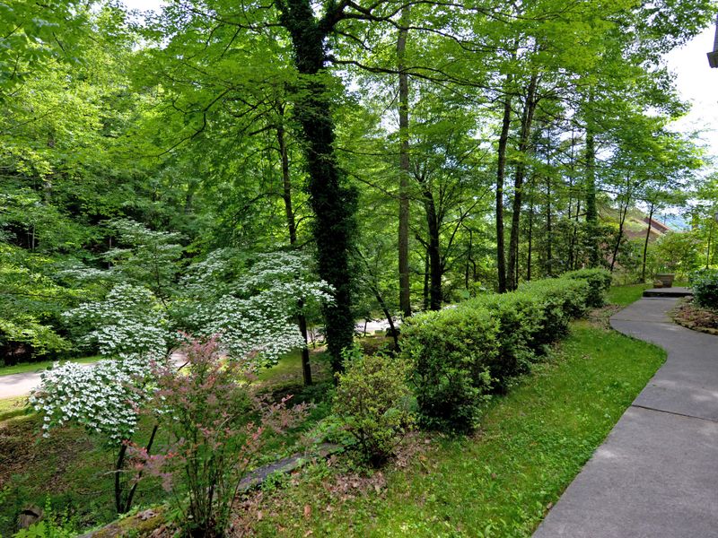 111 Amanda Pl, Oak Ridge, TN 37830
