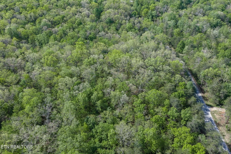 111 Bainbridge Ct, Crossville, TN 38558