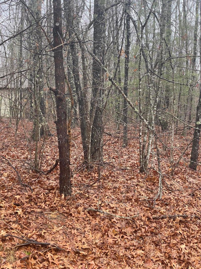 111 Beachwood Dr, Fairfield Glade, TN 38558