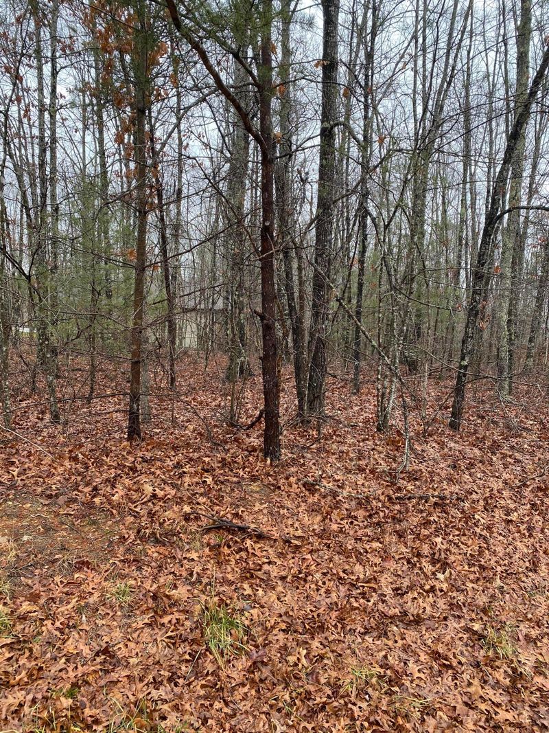 111 Beachwood Dr, Fairfield Glade, TN 38558