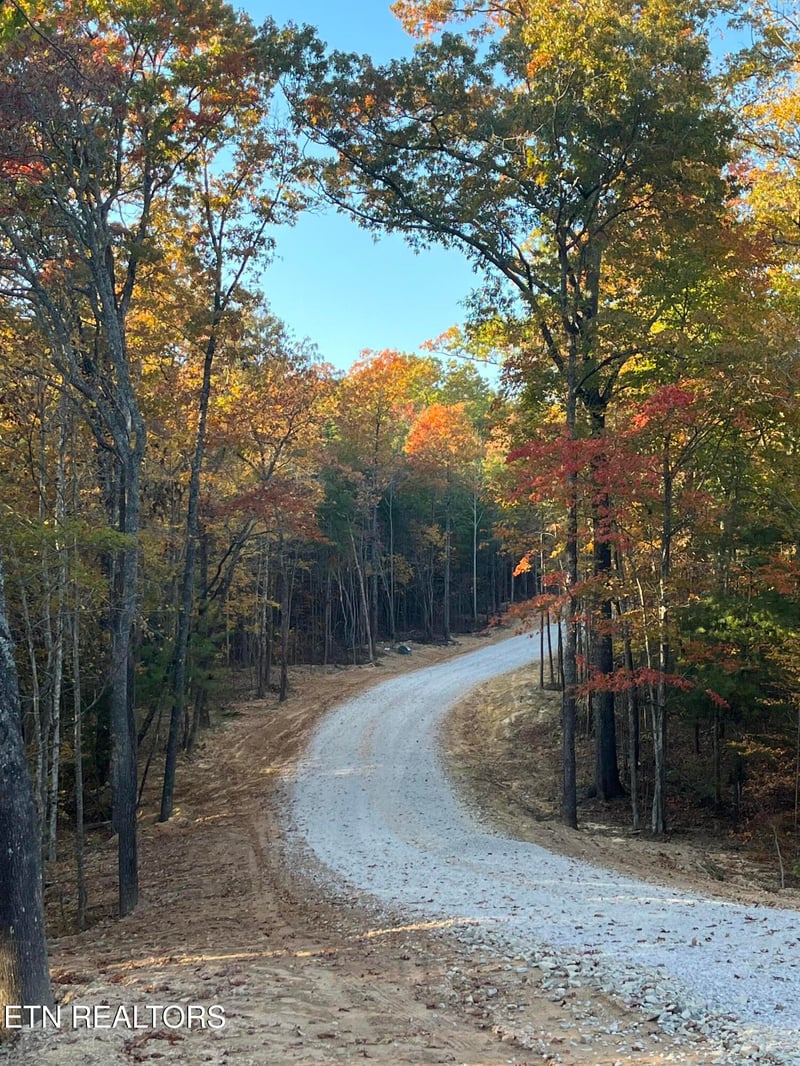 111 Cherokee Pa, Tellico Plains, TN 37385