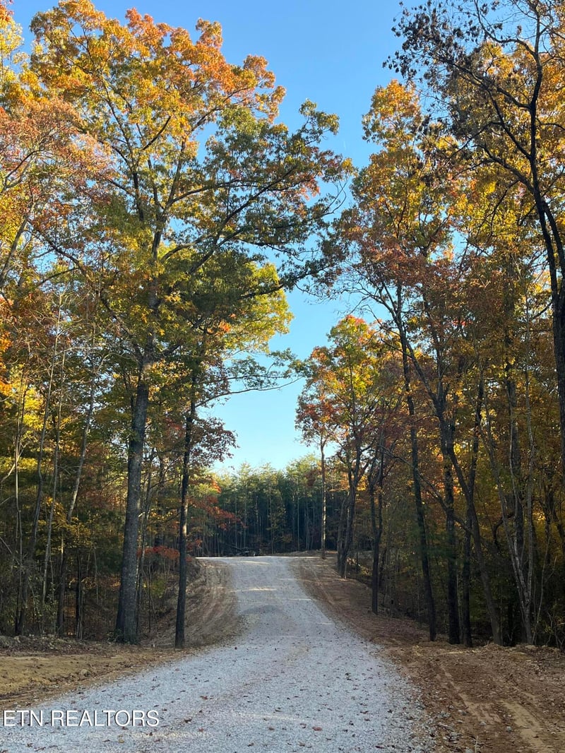 111 Cherokee Pa, Tellico Plains, TN 37385