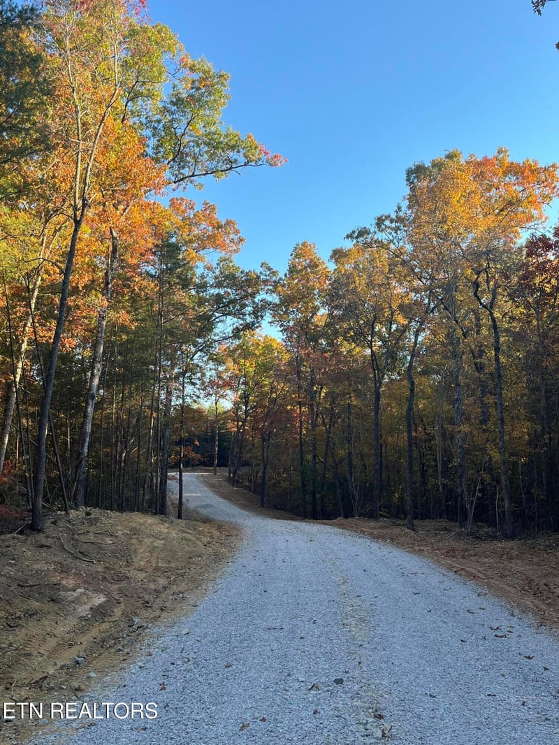 111 Cherokee Pa, Tellico Plains, TN 37385