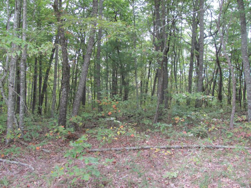 111 Folkstone Rd, Fairfield Glade, TN 38558