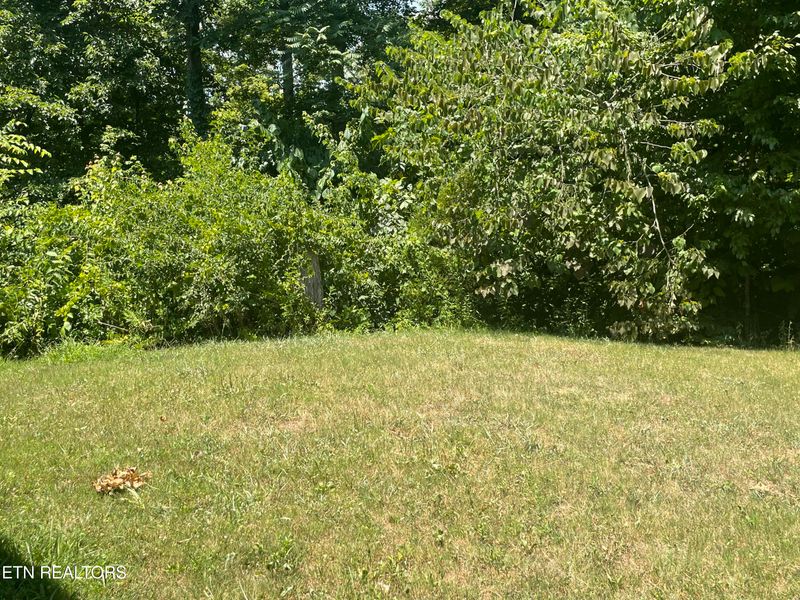 111 Moosetrail Ln, Powell, TN 37849