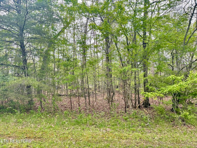 111 Rutgers Cir, Crossville, TN 38558