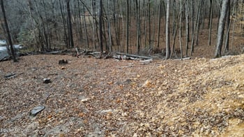 111 Scenic Dr, Harriman, TN 37748