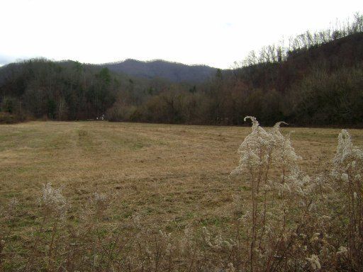1113 Cold Springs Rd, Walland, TN 37886