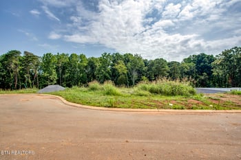 1114 Sophie Dr, Greenback, TN 37742
