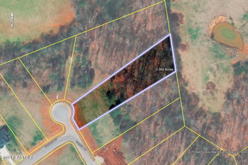 1114 Sophie Dr, Greenback, TN 37742