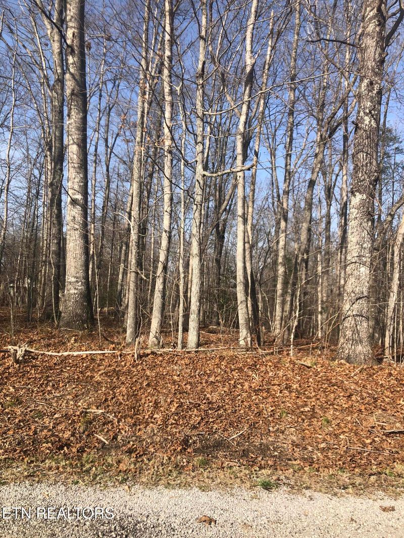 1115 Geronimo Ln, Crossville, TN 38572