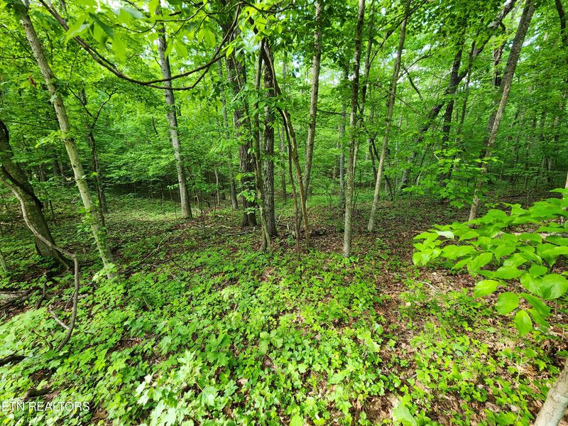 112 Dublin Ln, Fairfield Glade, TN 38558