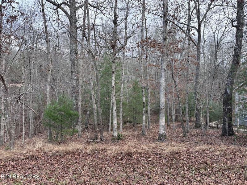 112 Lechmere Dr, Crossville, TN 38558